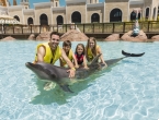 Dolphin Meet and Greet